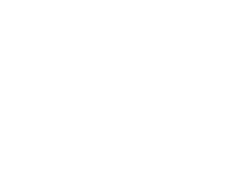 BEBE PET